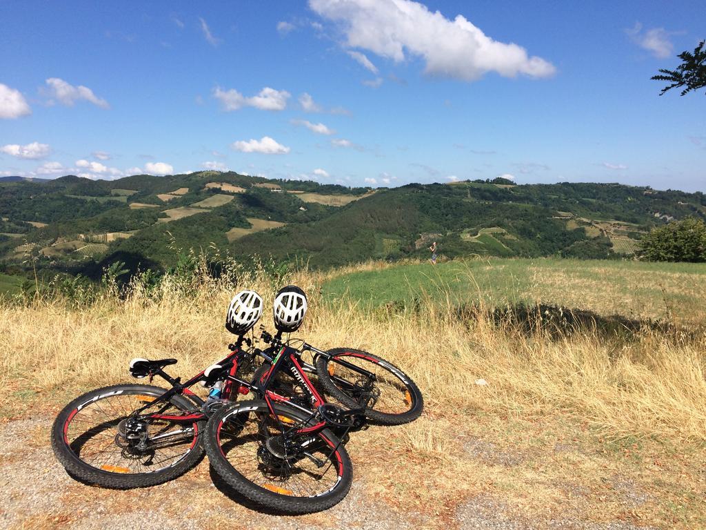 Brisighella Green Wellness Esterno foto