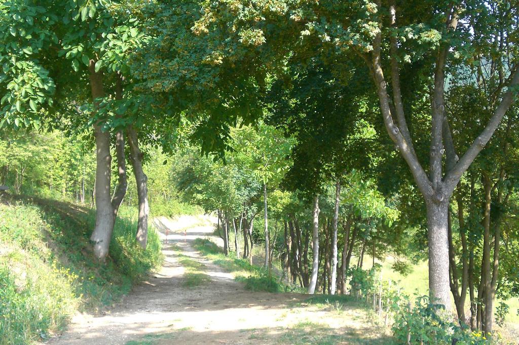 Brisighella Green Wellness Esterno foto